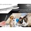 InstrumenteNrw Zupfzange für Hundeohren Haarzange Hunde Haarzupfzange Tierhaar-Entferner Edelstahl Rostfrei mit Innenzahnung ohne Sperre in Profi-Qualität (16 cm)