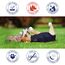 MPS Medical Pet Shirt, Hund, Blau, für extra kleine Hunde
