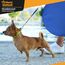 Hunde Agility Tunnel - Hundetunnel Spieltunnel Agilitytunnel Hundehöhle inkl Heringe und Transporttasche 300 x 50 cm