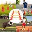 ACXIN 6er Sports Steckhürdenset 12 Kegel + 6 Stangen Agility Hürden Steckhürden Set, Koordinationstraining für Kinder Hunde Teamsport Fussball, Multifunktionskegel | Höhe: 32 cm | Stange: 100 cm