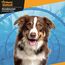 Hunde Agility Tunnel - Hundetunnel Spieltunnel Agilitytunnel Hundehöhle inkl. Heringe und Transporttasche (200 x 43 cm)