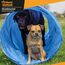 Hunde Agility Tunnel - Hundetunnel Spieltunnel; 200cm Agilitytunnel; Agility Zubehör-Set Hundehöhle inkl. Heringe, Transporttasche & Steckhürden mit Hütchen