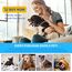 JMMPOO Agility Set Hunde, 65-Teiliges Agility Ausrüstung für Hundetraining Spiele mit Hundetunnel, Hürden, 8 Slalomstangen, Springring, 2 Tennis Ball Spielzeuge, Pause-Box, Leckerlibeutel, Tragetasche