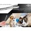 Zupfzange für Hundeohren Haarzange Hunde Haarzupfzange Tierhaar-Entferner Edelstahl Rostfrei mit Innenzahnung ohne Sperre in Profi-Qualität (20 cm)
