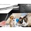 Zupfzange für Hundeohren Haarzange Hunde Haarzupfzange Tierhaar-Entferner Edelstahl Rostfrei mit Innenzahnung ohne Sperre in Profi-Qualität (18 cm)