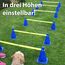 LionSports praktisches Steckhürdenset für Fußball, Hundesport, Pferdesport – Ideales Trainingszubehör, Fußballtraining, Pferd und Hunde - Profi Pylonen Set mit Hürden - Hindernisse Kegel