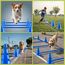 Hunde Agility Tunnel - Hundetunnel Spieltunnel; 200cm Agilitytunnel; Agility Zubehör-Set Hundehöhle inkl. Heringe, Transporttasche & Steckhürden mit Hütchen