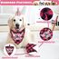 Hunde Geburtstag Hut Bandana Set, 3 Stücke Hunde Geburtstags Bandana Mütze mit 8 Bling Nummern, Hundegeburtstagsgeschenk, Hund Geburtstag Deko (Rosa)