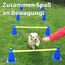 LionSports praktisches Steckhürdenset für Fußball, Hundesport, Pferdesport – Ideales Trainingszubehör, Fußballtraining, Pferd und Hunde - Profi Pylonen Set mit Hürden - Hindernisse Kegel