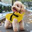 PcEoTllar Wasserdichter Hundemantel für kleine Hunde, warme reflektierende Jacke mit Geschirr für den Winter, Ski-Kostüm, Baumwolle, Hundepullover