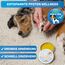 BluePet Pfotenbalsam Hund & Handcreme 50ml – Pfotenpflege Hund gegen trockene & rissige Pfoten und Nase – Natürlicher Schutz & Pflegebalsam für Hunde