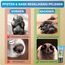 BluePet Pfotenreiniger + Schnelleinziehender Pfotenbalsam Hund & Katze, Gegen Trockene, Rissige Pfoten, Nasen I Hunde Pfotencreme 50 ml - Heilt, Regeneriert I Pfotenpflege Hund