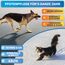 BluePet Pfotenbalsam Hund & Handcreme 50ml – Pfotenpflege Hund gegen trockene & rissige Pfoten und Nase – Natürlicher Schutz & Pflegebalsam für Hunde