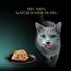 SHEBA Filets Adult Katzenfutter in Sauce mit Huhn 16 x 60g Schale