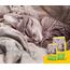 JOSERA SensiCat (1 x 10 kg) | Adult | Premium Trockenfutter für ausgewachsene empfindliche Katzen | Geflügel & Reis | extra verträgliche Rezeptur | weizenfrei | Katzenfutter | 1er Pack