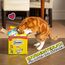 DREAMIES Katzensnacks - 6x60g - mit Ente - Traumhaft knusprige Katzen Leckerlies mit zarter Füllung