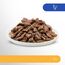 Perfect Fit Sensitive 1+ Katzennassfutter mit Huhn in Sauce, 12 Portionsbeutel, 12x85g – Premium Katzenfutter nass, für sensible Katzen ab 1 Jahr, ohne Weizen & Soja, zur Unterstützung der Verdauung