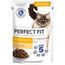 Perfect Fit Sensitive 1+ Katzennassfutter mit Huhn in Sauce, 12 Portionsbeutel, 12x85g – Premium Katzenfutter nass, für sensible Katzen ab 1 Jahr, ohne Weizen & Soja, zur Unterstützung der Verdauung
