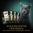 SHEBA Katzenfutter nass - 48x85g Portionsbeutel - Geflügel Variation in Gelee - Nassfutter für Katzen - 1 Großpackung