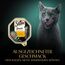 SHEBA Schale Nassfutter für Katzen Sauce Collection mit Pute in Heller Sauce 2 x 11 x 85g