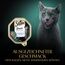 SHEBA Schale Nassfutter für Katzen Sauce Collection mit Kalbshäppchen in Heller Sauce 2 x 11 x 85g