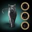 SHEBA Schale Nassfutter für Katzen Sauce Collection mit Kaninchen und Gemüse 2 x 11 x 85g