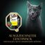 Sheba Sauce Collection Sauce Lover Katzen Nassfutter in Schale mit Huhn 2x11x85g