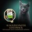 SHEBA Schale Nassfutter für Katzen Sauce Collection mit Kaninchen und Gemüse 2 x 11 x 85g