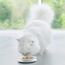 Gourmet Crystal Soup für Katzen mit naturbelassenem Thunfisch und Garnelen, 32er Pack (32 x 40g)