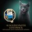 SHEBA Schale Nassfutter für Katzen Sauce Collection Sauce Lover mit Thunfisch MSC-Zertifiziert 2 x 11 x 85g