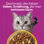WHISKAS Trockenfutter für ausgewachsene Katzen 5 x 800g mit Huhn
