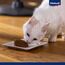 Vitakraft Poésie Mousse, Nassfutter Katze, luftige Mousse, mit Huhn, ohne Zusatz von Zucker und Getreide (12x 85g)