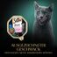 SHEBA Schale Nassfutter für Katzen Sauce Collection Sauce Lover mit Lachs MSC-Zertifiziert 2 x 11 x 85g