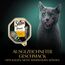 SHEBA Schale Nassfutter für Katzen Sauce Collection Frikassee mit Truthahn und Gemüse 2 x 11 x 85g