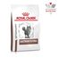 Royal Canin Veterinary Gastrointestinal | 4 kg | Trockenfutter für Katzen | Kann unterstützend helfen bei gastrointestinalen Erkrankungen bei Katzen | Hohe Akzeptanz
