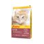 JOSERA Kitten (1 x 10 kg) | Kitten | Premium Trockenfutter für heranwachsende Katzen & Katzen-Mütter in der Säugezeit | Lachs & Geflügel | leicht verdaulich | weizefrei | Katzenfutter | 1er Pack