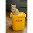 JOSERA Senior (1 x 2 kg) | Senior | Premium Trockenfutter für ältere Katzen oder Katzen mit Niereninsuffizienz | Geflügel & Reis | leicht verdaulich | getreidefrei | Katzenfutter | 1er Pack