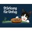 Felix Naturally Delicious, Katzenfutter nass Geschmacksvielfalt vom Land mit Gemüse in Gelee, 80er Pack (80x 80g)
