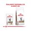 Royal Canin Gastro Intestinal Fibre Response | 12 x 85 g | Diät-Alleinfuttermittel für Adulte Katzen | Für Katzen mit chronischer Verstopfung oder ähnlichen Magen-Darm-Problemen