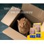 JOSERA DailyCat (1 x 10 kg) | Adult | Premium Trockenfutter für ausgewachsene Katzen | Geflügel & Süßkartoffel | erlesene Kräuter & gesunde Früchte | getreidefrei | Katzenfutter | 1er Pack