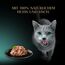 SHEBA Filets Adult Katzenfutter in Sauce mit Huhn und Thunfisch 16 x 60g Schale