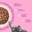 WHISKAS Junior Nassfutter in Sauce 84 x 85g Klassische Auswahl