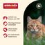 animonda Carny Katzen Nassfutter Senior Rind + Huhn + Käse (6 x 200g), Katzenfutter nass ohne Getreide ohne Zucker für Katzen ab 7 Jahren mit frischen und fleischigen Zutaten