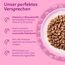 WHISKAS Junior Nassfutter in Sauce 84 x 85g Klassische Auswahl