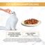 Gourmet Gold Feine Komposition Katzenfutter nass, mit Rind und Huhn, 12er Pack (12 x 85g)