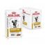 Royal Canin Veterinary Urinary s/o Moderate Calorie | 4er Pack | 4 x 12 x 85 g | Diät-Alleinfuttermittel für Katzen | Zur Auflösung von Struvitsteinen | Niedriger RSS-Wert