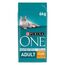 PURINA ONE BIFENSIS Adult Katzentrockenfutter: reich an Huhn, stärkt natürliche Abwehrkräfte, für gesunde Knochen, Haut, Zähne & Harnwege I ab 1 Jahr