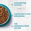 PURINA ONE BIFENSIS Adult Katzentrockenfutter: reich an Huhn, stärkt natürliche Abwehrkräfte, für gesunde Knochen, Haut, Zähne & Harnwege I ab 1 Jahr