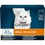 Gourmet Perle | Saucen Regal | Erwachsene Katze | Rind, Huhn, Thunfisch, Lachs | 12 x 85 g | Frischebeutel (Verpackung kann variieren)