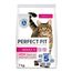 PERFECT FIT Adult Trockenfutter für erwachsene Katzen ab 1 Jahr - Lachs, 7 kg (1 Beutel)